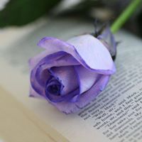 همسہٰ الہٰدعاء