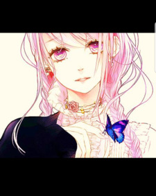 Lily Lily