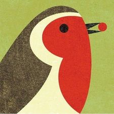 نور عبد الله