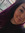 Caitie Roee