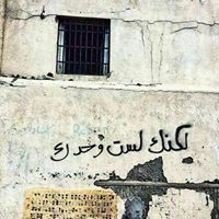 محمد عبد الحميد