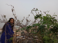 Mahfuza Mouri