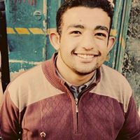 Ahmed Abd Elsalam Nayl