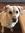 Katie Ricketts | 6 comments