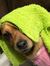 Jess