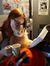 Anna McWeasley