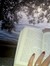 Booklover N