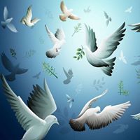 Muhammadsiddiq Davlatov