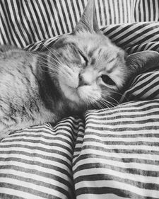 امیرحسین رستمی