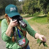 Suzanne Wainwright