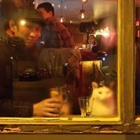 Matthew Phan