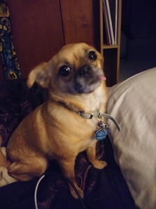 Mikala
