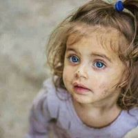 Syed Rehan