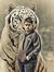 Akshay ...