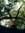 CadavreVulgaire | 2 comments
