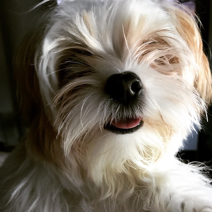 Goodreads profile picture for @stacks