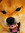 Sarah Hoffman