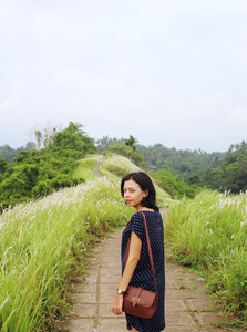 Anggi