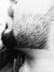 Laith A...