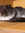 Lynne | 2 comments