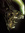B. | 1 comments
