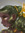 member photo member photo