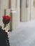 Tasneem...