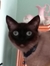 Cindi