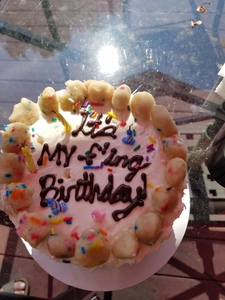 Sara McFadden Curran