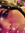 Arista | 4 comments