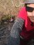 Vinicius