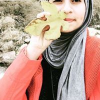 Sewar Mohammad