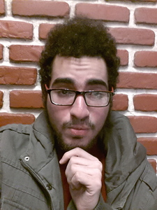 Ahmed Ghanem Mansoura, Egypt (213 books)