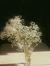 Hadeel Alshamari