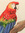 Alejandra | 11 comments