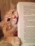 thebook...