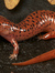 Sally the Salamander