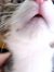 Thure