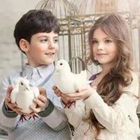 ريم الشويتي