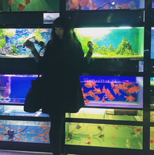 Munkhtsetseg Munkhtur