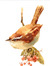 birdie22