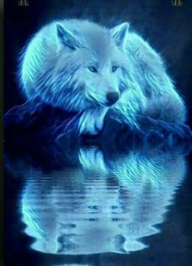 Wolfgirl18