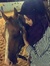 Tasneemz