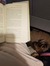 Bemused BookBoy