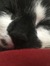 Katie