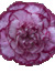 Alix