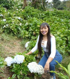  ﾟ･*:.｡Pao ｡.:*･ ﾟ