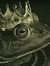 Frog Pr...