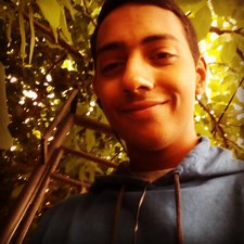 Димитър Костов