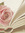 Sumayya | 1 comments